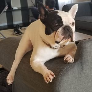 Meet your Posher, Myles